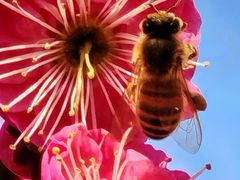 -昆山城市生态森林公园