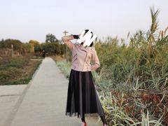 -鹤之洲湿地公园