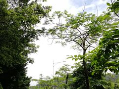 -南沙蒲洲花园