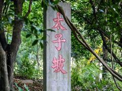 -武当山风景区-太子坡