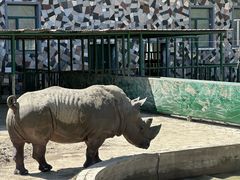 -哈尔滨北方森林动物园