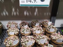 -鹿岛会员店 (龙湖三千集天街店)