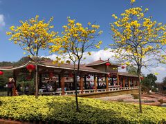 -广州莲花山旅游区