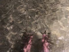 -明谷行馆·温泉