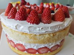 -维尔纳斯·生日蛋糕动物奶油冰淇淋蛋糕(人大店)