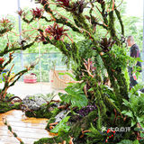 六一好去处 | 重庆首个超有意思的爬宠展🐸