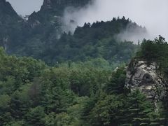 -牛背梁国家森林公园