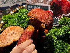 -芸山季·云南山珍菌火锅(人民广场来福士店)