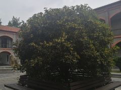 -辛亥革命博物院北区