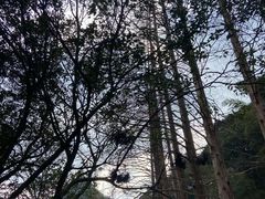 -天明山温泉大酒店