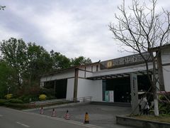 -桤木河湿地公园