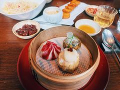 -随堂里