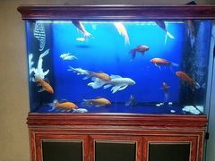 -知足堂养生会所(碑亭巷店)