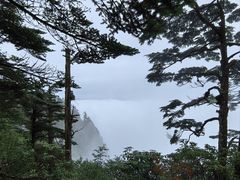 -瓦屋山景区