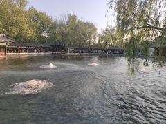 -百脉泉景区