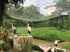 -吉隆坡雀鸟公园