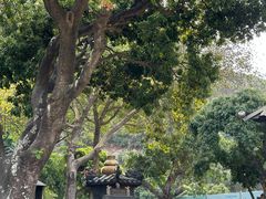 -凤凰山公园-龙王古庙