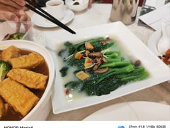-新世纪大酒楼·30年南海菜