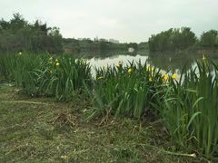 -白鹭湾湿地公园