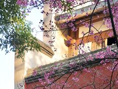 -乌山风景区