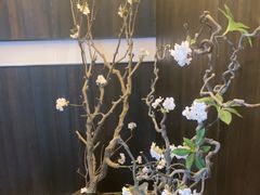-海之屋韩式烤肉(海棠68环球美食街店)