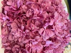 -金唐宫(淮河文化广场店)