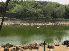 -北京张裕爱斐堡酒庄