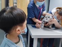 -伟伟宠物医院·CT影像中心·瑞派犬猫综合性门诊(汉口总院)