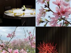 -金成潮菜博物馆(海珠湿地店)