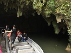 -怀托摩萤火虫洞