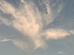 -南宁良凤江国家森林公园