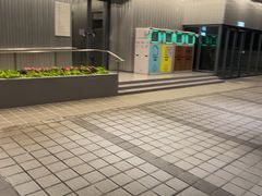 -香港大学