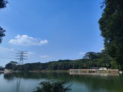 -水濂山森林公园