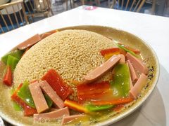 -熊猫家新派川菜(百里一·龙兴集店)