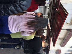 金杨蛋饼-金杨老摊头蛋饼(金口路店)