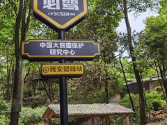 -中国大熊猫保护研究中心雅安碧峰峡基地
