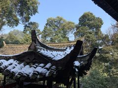 -青城山