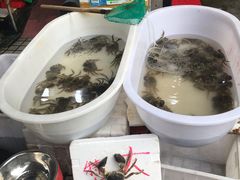 -江杨农产品批发市场