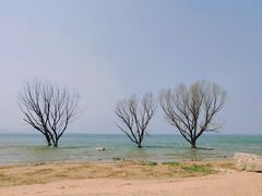 -观澜小洱海