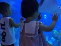 -成都浩海立方海洋公园