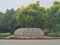 -杨柳青庄园