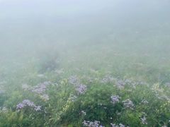 -白草畔自然风景区