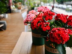 -广州花都希尔顿惠庭酒店