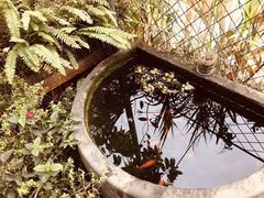 -胡桃里乐队酒馆(鎏嘉码头店)