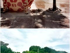 -重庆海昌加勒比海水世界