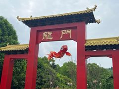 -南山植物园