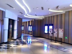 -百丽宫影城(CGS激光苏宁广场店)
