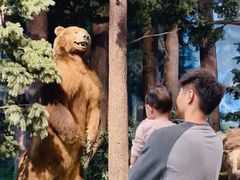 -陕西自然博物馆