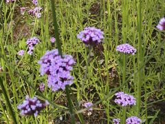 -杭州城北体育公园