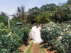 -人民公园(罗湖区)